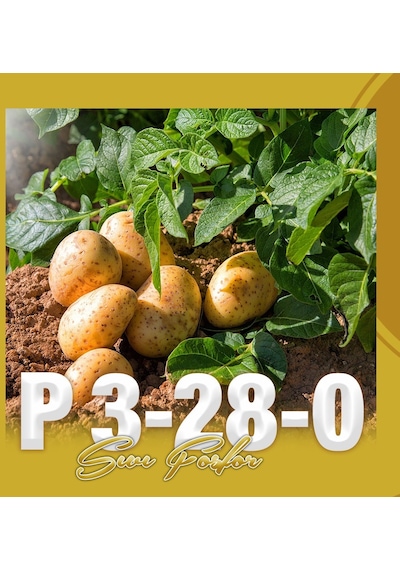 Naturwin P 3-28-0 Sıvı Fosfor Gübre 5 Litre