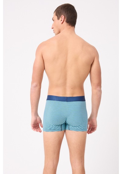 L'espadon Maritime Elite Koleksiyonu Elastik Konforlu Bel Bantlı Çizgili Erkek Trunk Boxer-3239 Okyanus