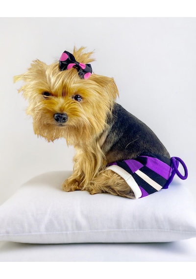 Kemique Modern Purp Kemique's Secret Köpek İç Çamaşırı Regl Külot