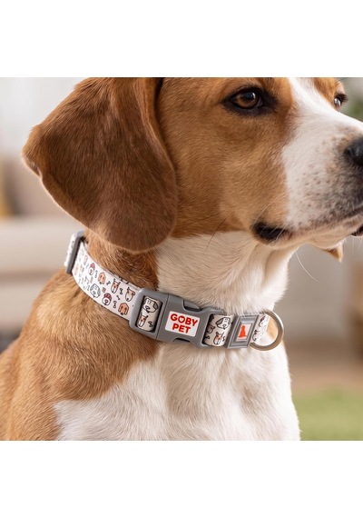Gobypet Desenli Köpek Boyun Tasması 25 Mm, Ayarlanabilir 39-55 Cm, Güçlendirilmiş Emniyet Kilitli Toka, Paslanmaz Metal D Halka, Dayanıklı Kumaş, Günlük Kullanım, Yürüyüş Ve Eğitim İçin Çok Renkli Gobypet Desenli Köpek Boyun Tasması 25 Mm, Ayarlanabilir 39-55 Cm, Güçlendirilmiş Emniyet Kilitli Toka, Paslanmaz Metal D Halka, Dayanıklı Kumaş, Günlük Kullanım, Yürüyüş Ve Eğitim İçin Çok Renkli