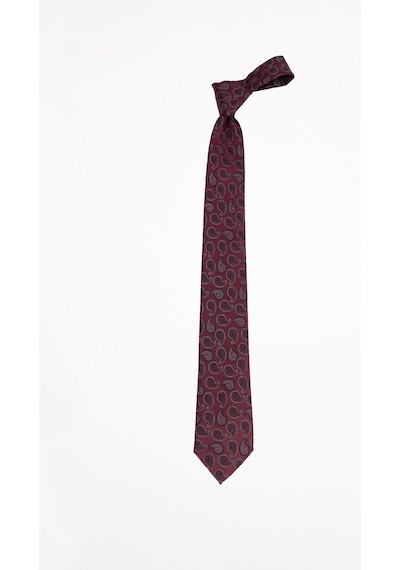 Tudors Erkek Bordo Paisley Desenli Klasik Kravat Ve Cep Mendili Takımı-51512