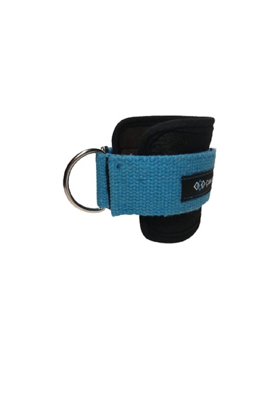 D Ring Fitness Ayak Bileği Ağırlık Çalışma Kemeri Ankle Straps Fitness 1 Çift Sağ/sol Takım Mavi