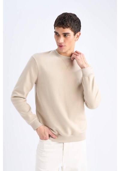 DeFacto Regular Fit Bisiklet Yaka Kalın Basic Düz Sweatshirt T3777AZ25SPBG735