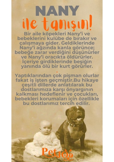 Petjoo 17.Nany Turuncu-Gri Qr'lı Köpek Künyesi