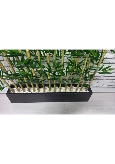 Bambu Speratör 220 Cm Boy 100 Cm Saksıda 15'li Yeşil