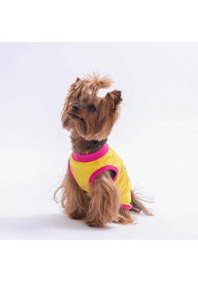 Yellow-sarı All Good Days Kedi Köpek Tişörtü-kedi Köpek Kıyafeti