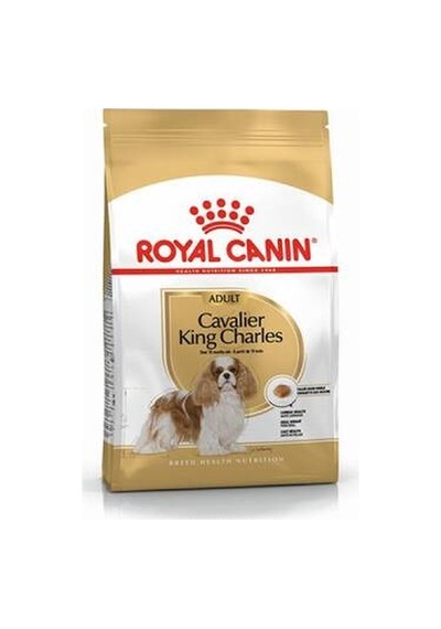 Cavalier King Charles Adult Yetişkin Köpek Maması 1,5 Kg