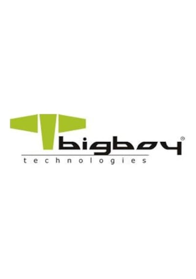 Bigboy BSSDMS1T 1 TB 550/500 MB/S mSATA SATA 3 Notebook SSD