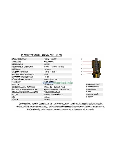 1" 5 Bar Sabit Basınçlı Mühürlü Yks Ce Belgeli Emniyet Ventili