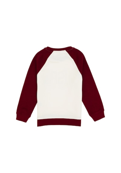 U.s. Polo Assn. Erkek Çocuk Bordo Sweatshirt 50316542-vr014 Bordo