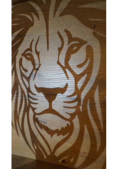 3d Baskı Aslan Figürlü Duvar Dekoru Heybetli Aslan Kabartma Duvar Panosu