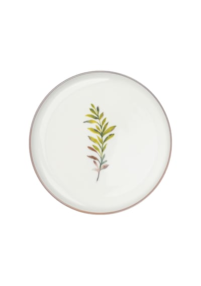 Moderna 6 Kişilik 19 Cm Pasta Takımı Comfort Çok Renkli