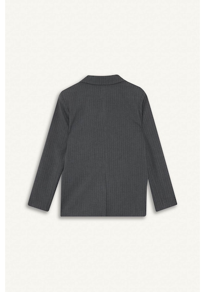 Defacto Regular Fit Düğmeli Blazer Ceket F9465ax25augr93 Gri