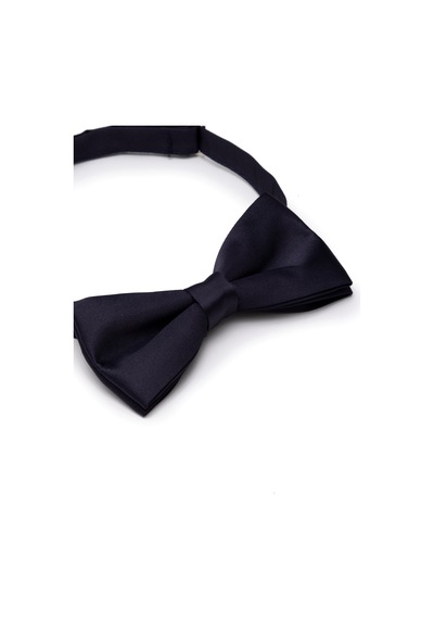 Pierre Cardin Erkek Lacivert Papyon 50262525-200 Lacivert