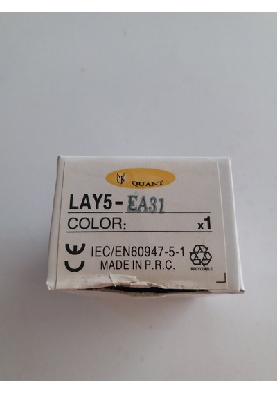 QUANT LAY5 EA 31 START BUTONU