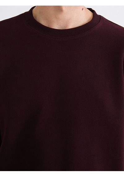 Lcw Vision Kahverengi Bisiklet Yaka Kalın Kumaş Erkek Sweatshirt