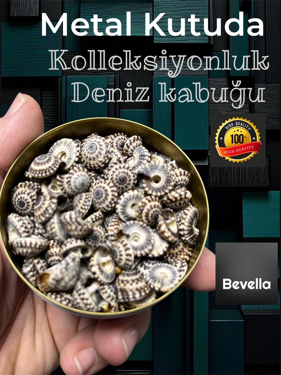 Şık Metal Kutuda Mysterium Arca Minyatür Deniz Kabukları Ort. 100 Adet