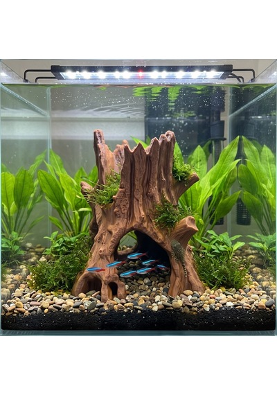 3d Yazıcı Akvaryum Dekoru Yapay Ağaç Kökü Mağara Petg 17x17cm Kp3d10117