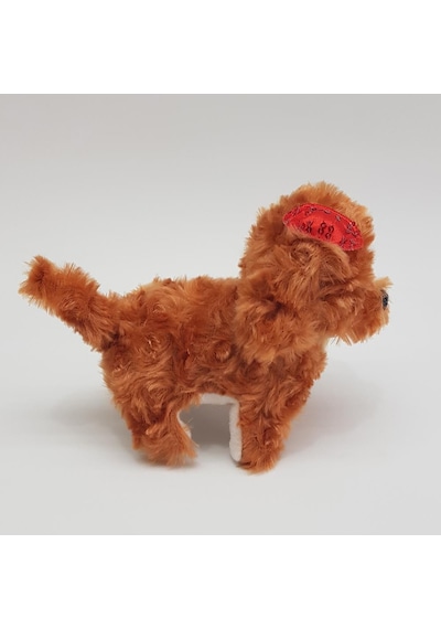 Pilli Sesli Yerde Yürüyen Sevimli Köpek Kahverengi