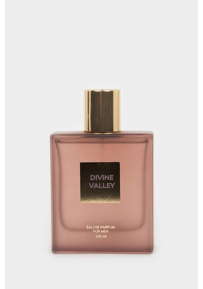 Defacto Erkek Odunsu 100 Ml Parfüm H4359axnsbr150