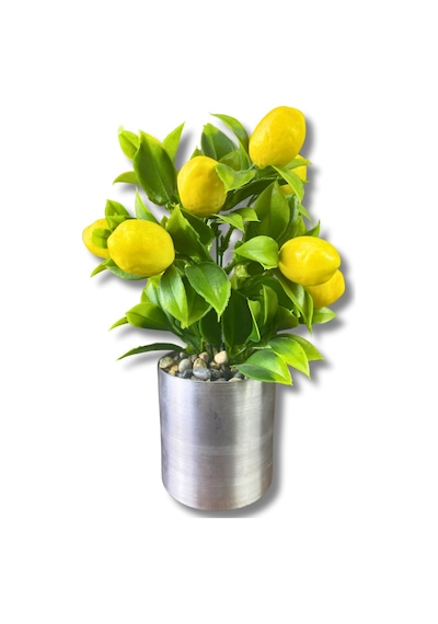 Cihan Çiçekçilik Yapay Çiçek Dekoratif Limon 20 Cm 8x8 Metal Saksıda Sarı