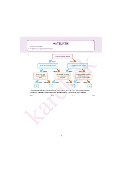 Karekök 2025-2026 Müfredat 8.sınıf Lgs Deneme 5 Adet Seti
