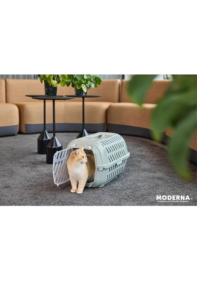 Moderna Aventro Taşıma Çantası - Açık Gri