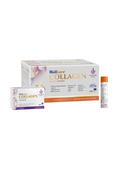 Wellcare Collagen Beauty Plus 5500 MG Frenk Üzümü & Portakal Likit 30 x 40 ML