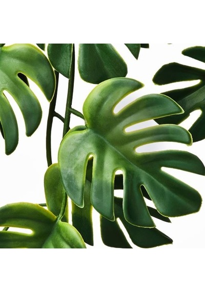 Ikea Fejka Yapay Bitki, Yeşil, 9 Cm, İç-dış Mekan Monstera