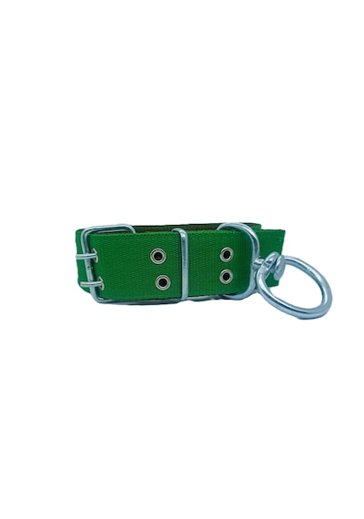 İri Ve Büyük Cinsler İçin Kanğal Köpek Tasması 80x5 Cm Yeşil