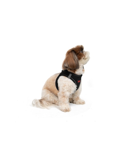 Air-Mesh Küçük ve Orta Irk Kedi Köpek Göğüs Tasması - Yumuşak, Nefes Alabilir, Dayanıklı SİYAH S Air-Mesh Küçük ve Orta Irk Kedi Köpek Göğüs Tasması - Yumuşak, Nefes Alabilir, Dayanıklı SİYAH S