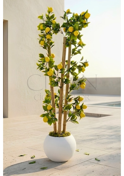 Cihan Çiçekçilik Yapay Limon Bambu Ağacı - Beyaz Küre Saksılı 100 Cm