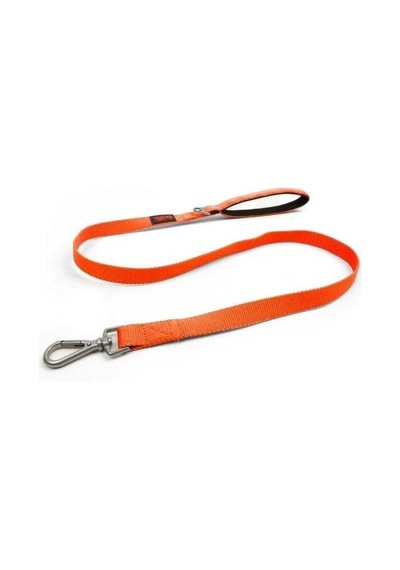 Tailpetz Match Leash Köpek Gezdirme Kayışı Neo-turuncu Small Açık Mavi