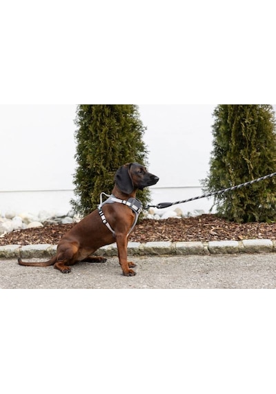 Y Tipi Spor Köpek Göğüs Tasması 20 Mm 38-62 / 58-74 Cm - Fitty Serisi - M Gri
