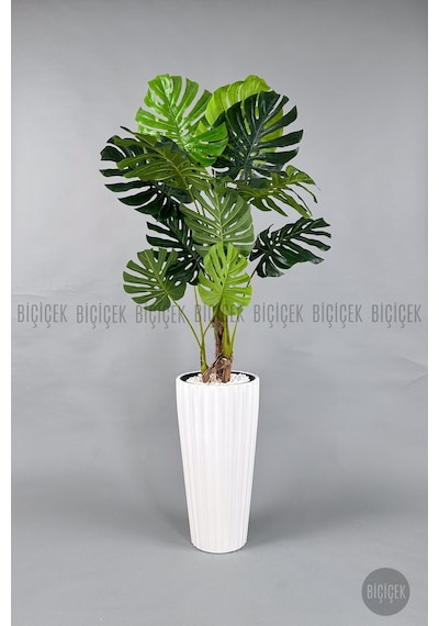 Yapay Monstera Ağacı Deve Tabani 200 Cm Beyaz Li Lyum Saksıda