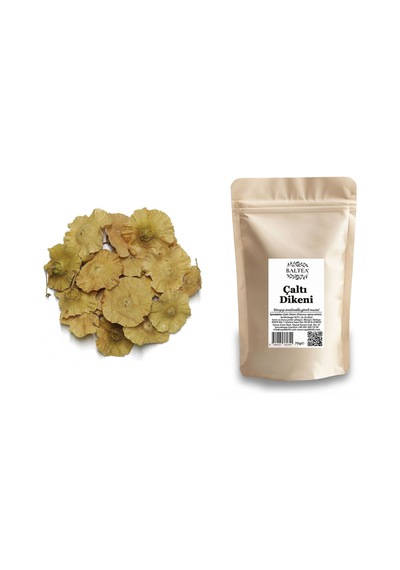 Çaltı Dikeni 70g
