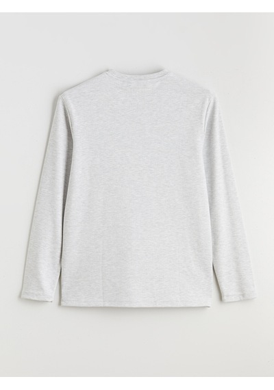 LC Waikiki Lc Waıkıkı Bej Bisiklet Yaka Baskılı Erkek Sweatshirt