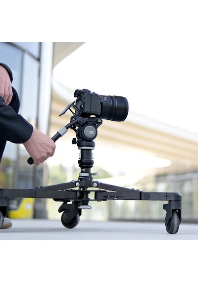 Yc Onion Pineta Pro Dolly