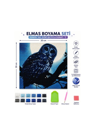 Dolunayda Baykuş 5d Elmas Mozaik Tablo Seti 30x30 Cm - Boncuk Taş Boyama Hobi Kiti