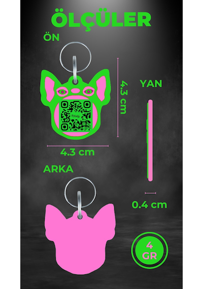 Petjoo 7.Hook Pembe-Yeşil Qr'lı Köpek Künyesi
