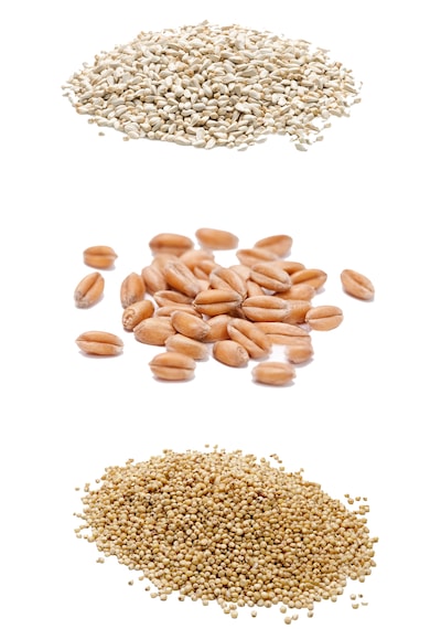 İpek Değirmen Aspir Tohumu Beyaz Sorgum Kara Buğday Tavuk Güvercin Yemi 3 x 1 KG