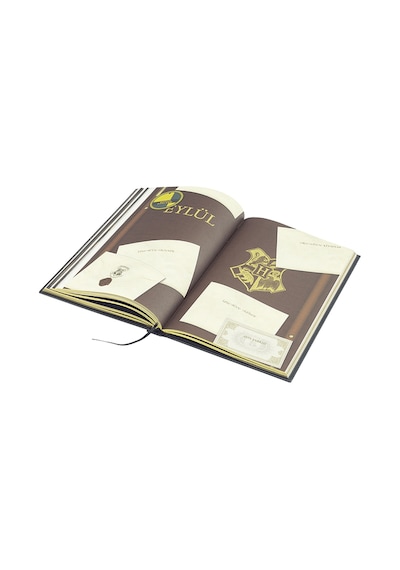 Mabbels Mösyö Taha Harry Potter Haftalık Ajanda Hufflepuff Çok Renkli