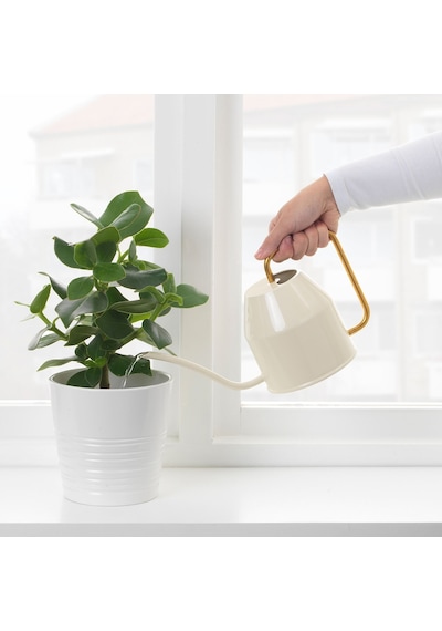 Ikea Vattenkrasse Sulama Kabı 0,9 L 16x27x16 Cm Beyaz Altın