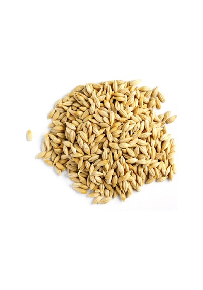 Doğal Tane Arpa Tohumu Yemlik 1 Kg
