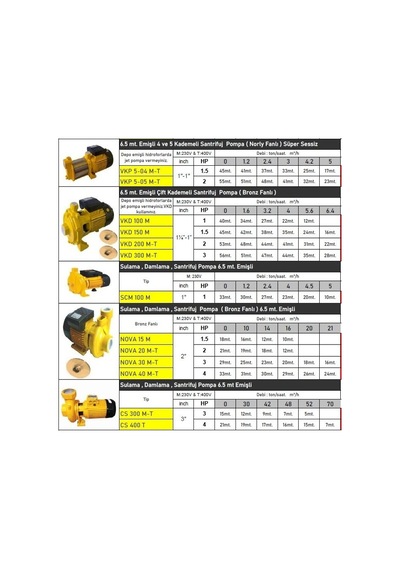 Vkp 5-05 2 Hp 5 Kademe 220v Monofaze Yatay Milli Noryl Fanlı Santrifüj Pompa