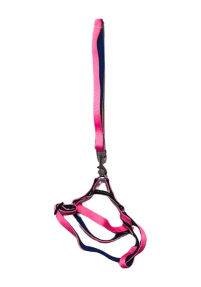 Kedi Köpek Göğüs Tasması Neon Pembe Çok Renkli