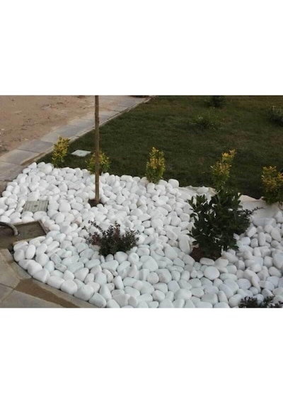 Beyaz Dolomit 25 Kg 2,5-4 Cm Dolamit Taşı Dere Çakıl Bahçe Süs Dekoratif Taş
