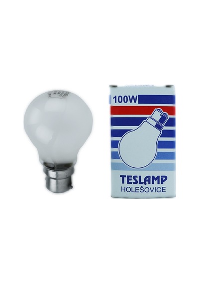 Teslamp 100W 240V 2800K B22 A60 Buzlu Cam Halojen Ampul 5 Adet