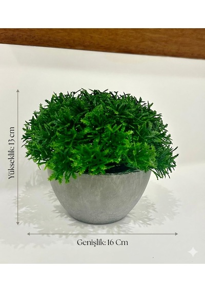 Yapay Scleranthus Minder Çiçeği Antrasit Saksılı Premium Dekoratif Bitki Yeşil