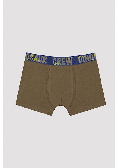 Penti Erkek Çocuk Dinosur Crew Slogan Baskılı Boxer Çok Renkli